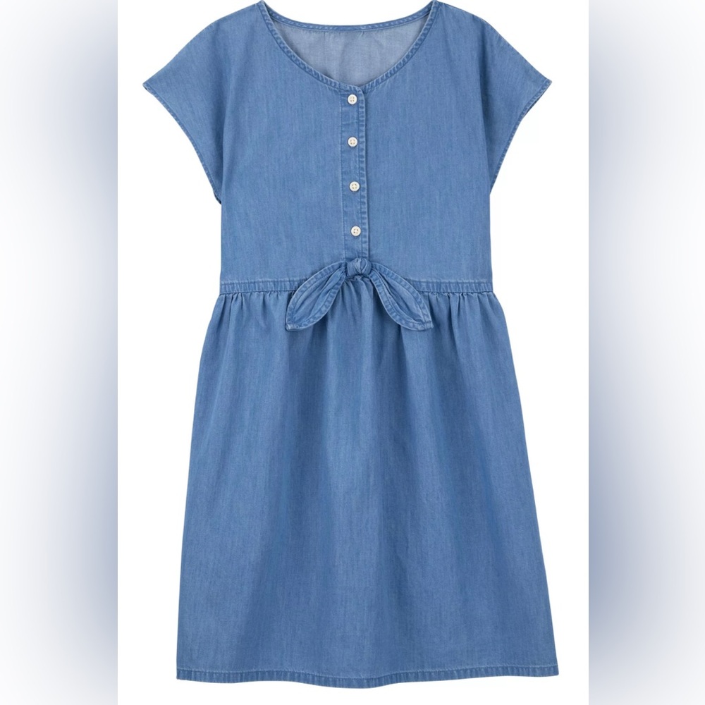 Carter's Casual Blue Button-Up Dress
